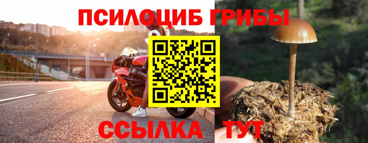 Галлюциногенные грибы GOLDEN TEACHER Абакан